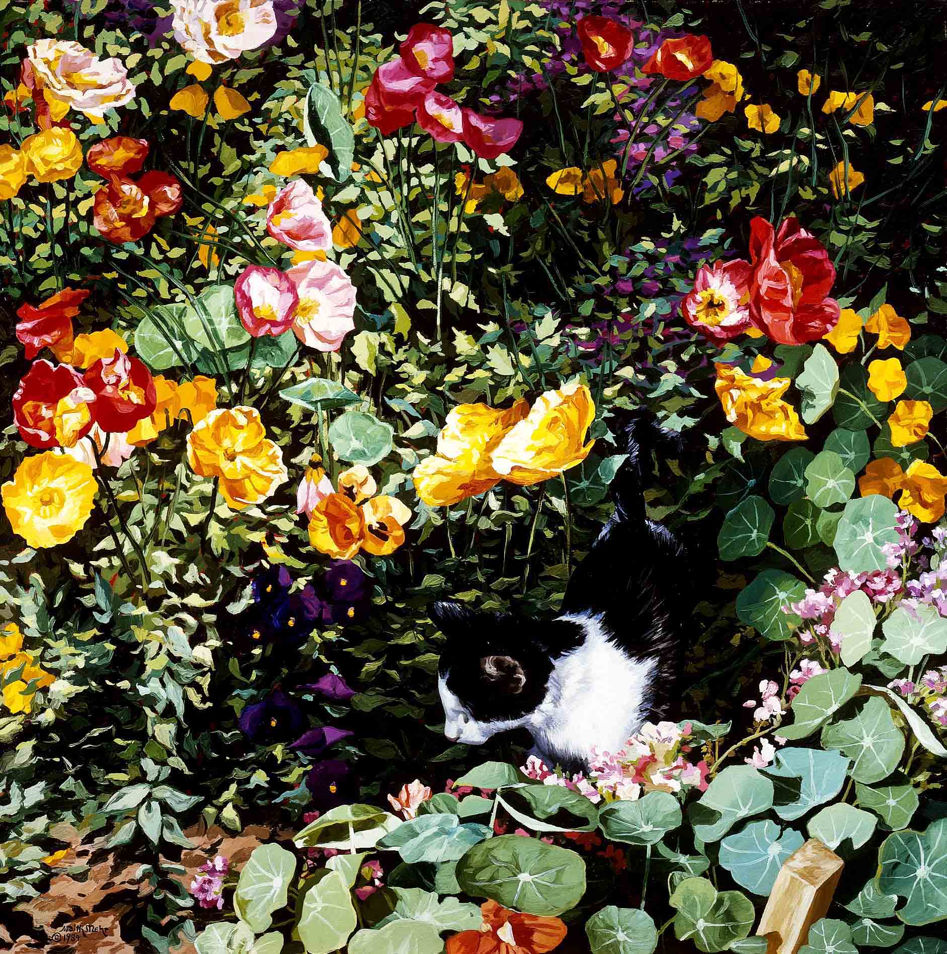 Kitten in a Garden