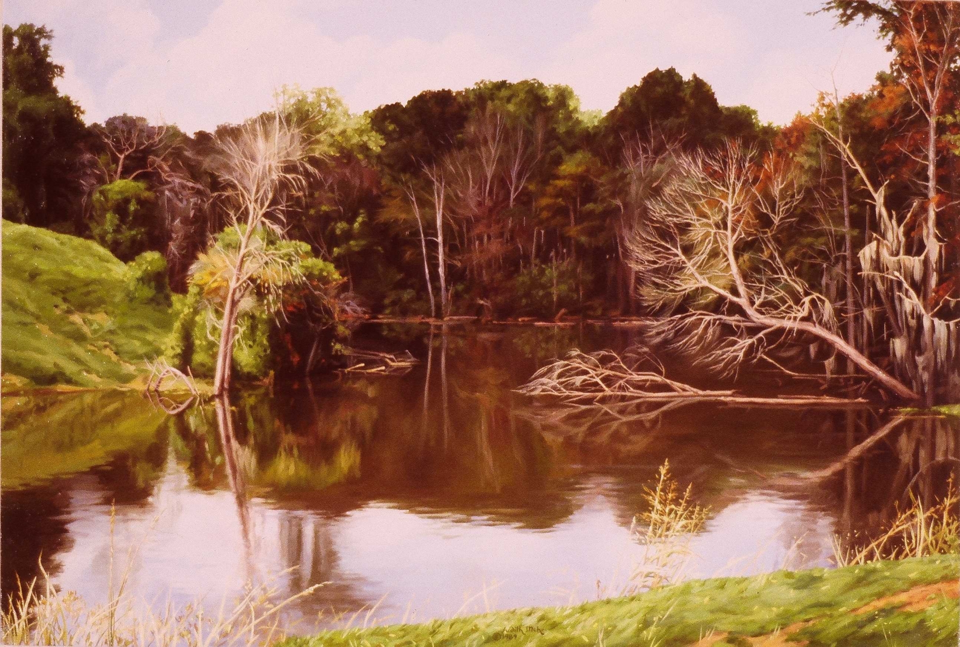 Mississippi Bayou