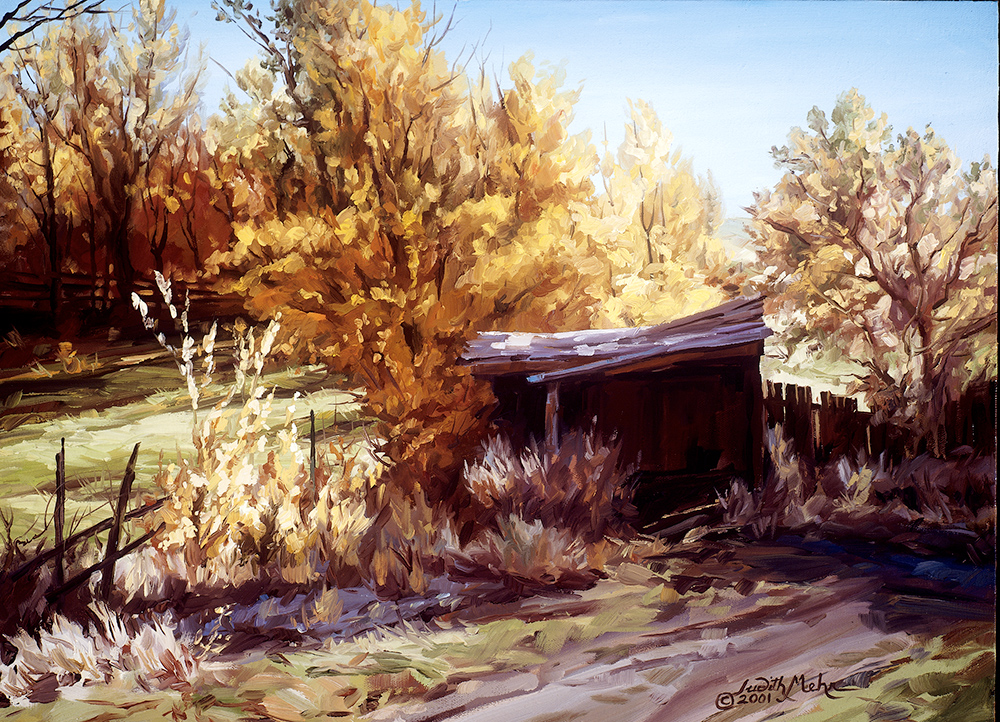 Pasture Shelter